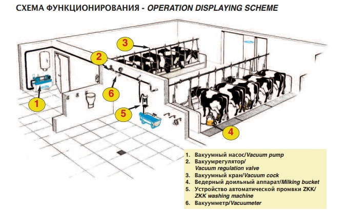 Схема функционирования доильной ведерной системы